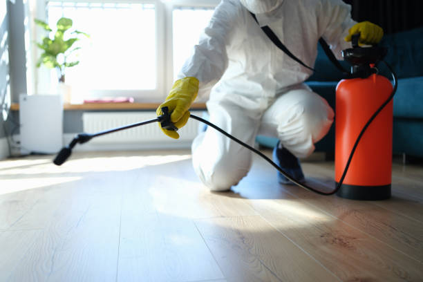 Reliable Crime Scene Cleanup contractor in San Quentin, CA by Trauma Clean Pros